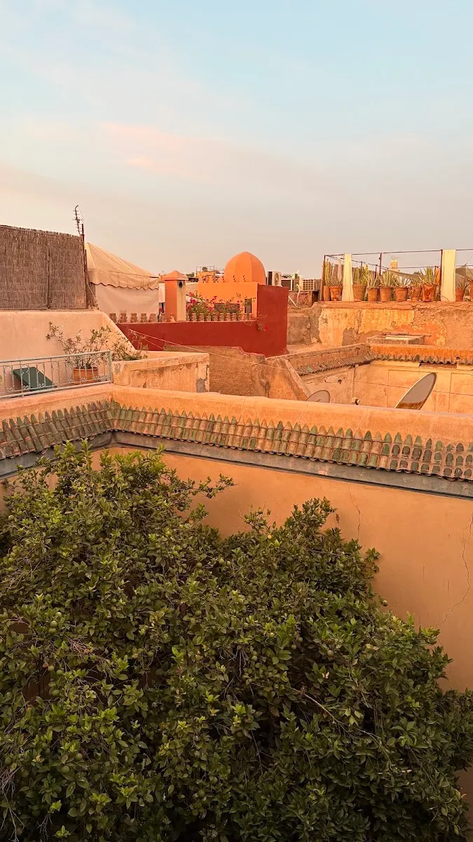 The medina's ochre rooftops from the terrace